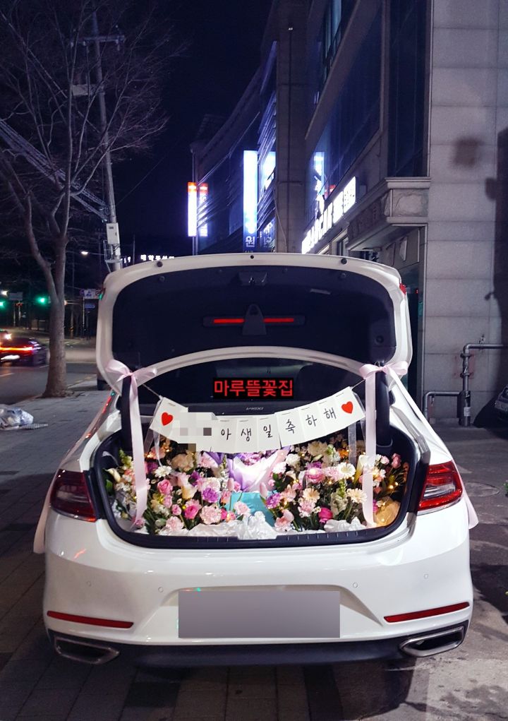 상록자이언트 이미지