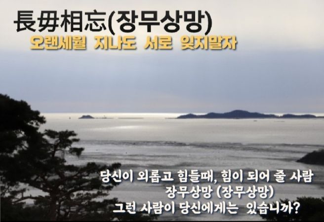 너는;꽃 이미지