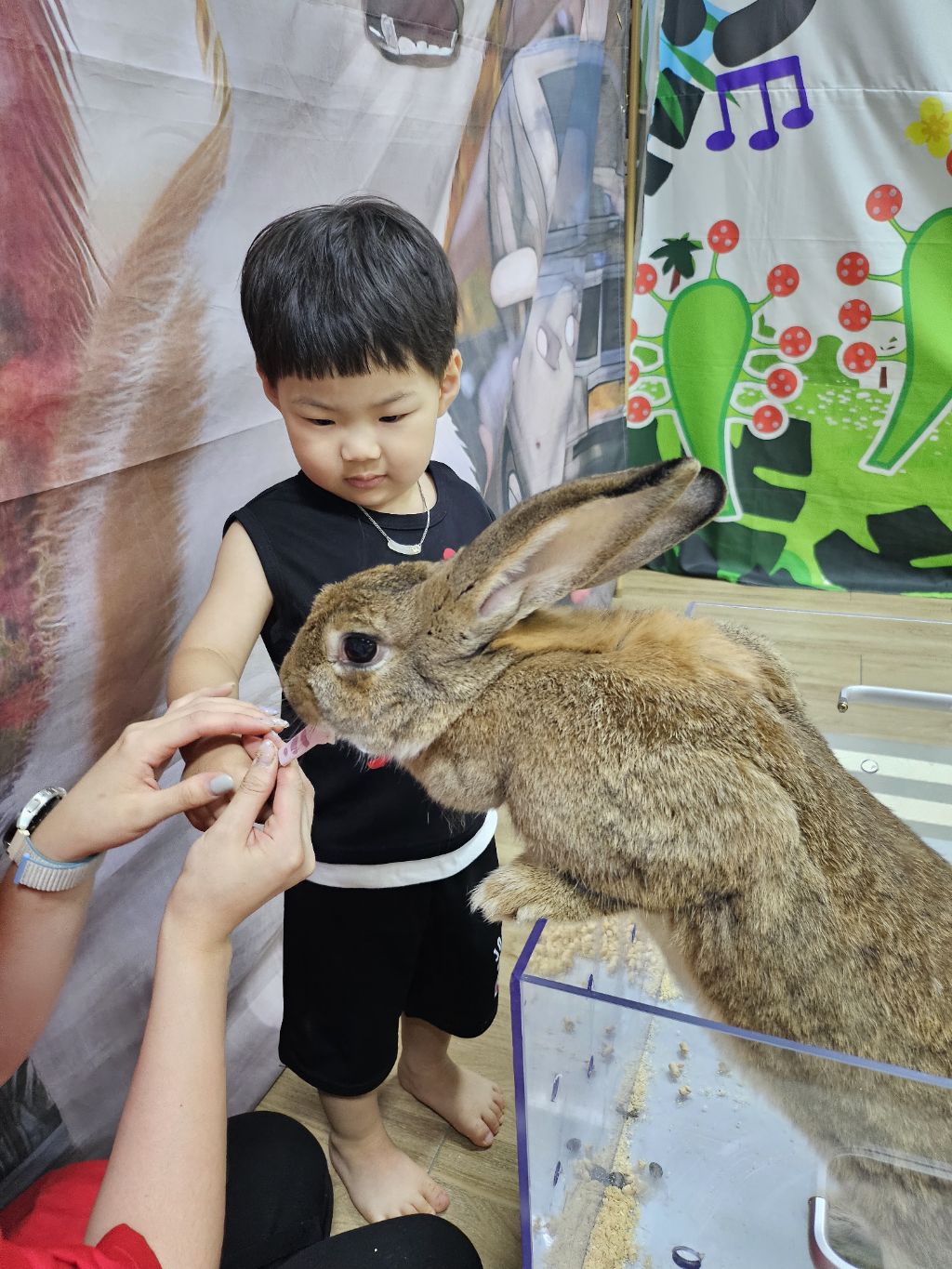 쥬니멀 이미지