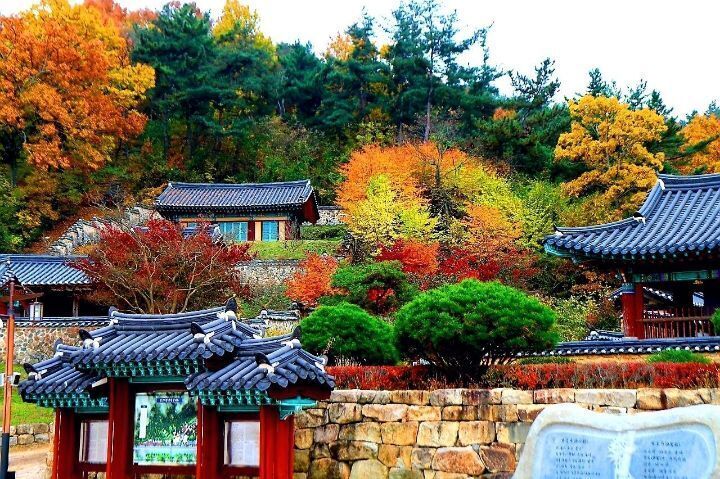 향기나는세상 이미지