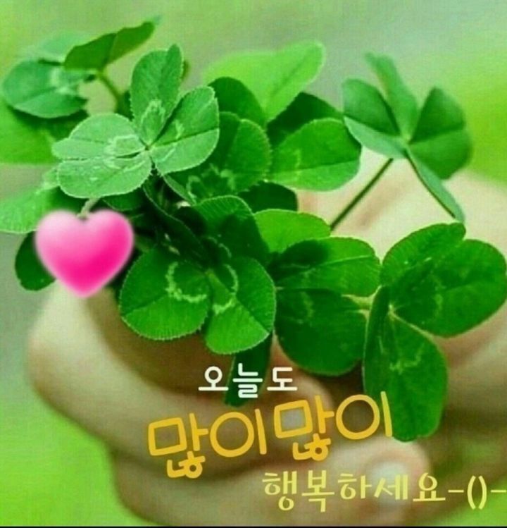 더믿음 이미지