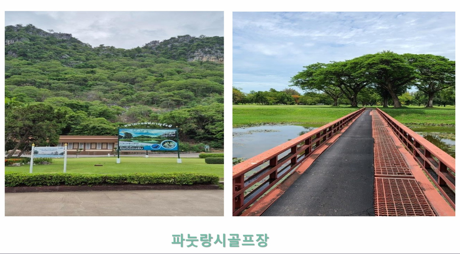 세븐스타 이미지