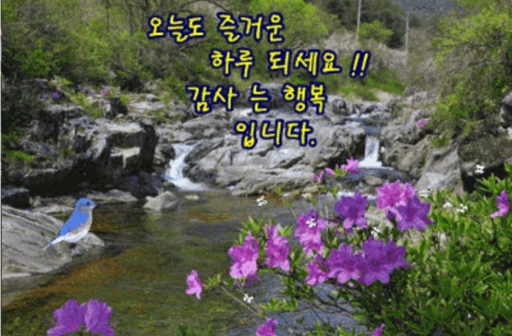 화요일의아침 이미지