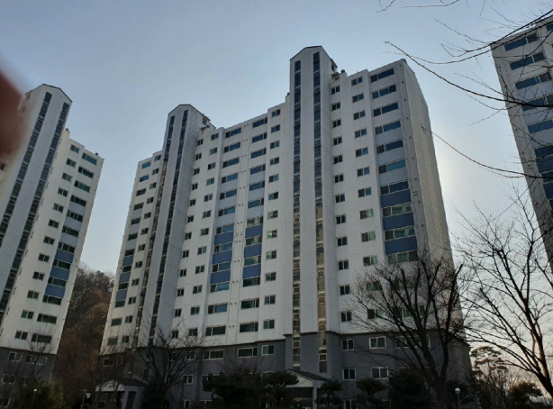 서울사계절치과의원 이미지