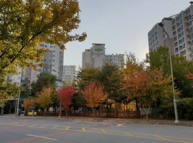 맑은샘이비인후과의원 이미지