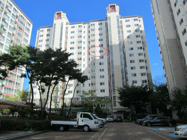 Daum카페