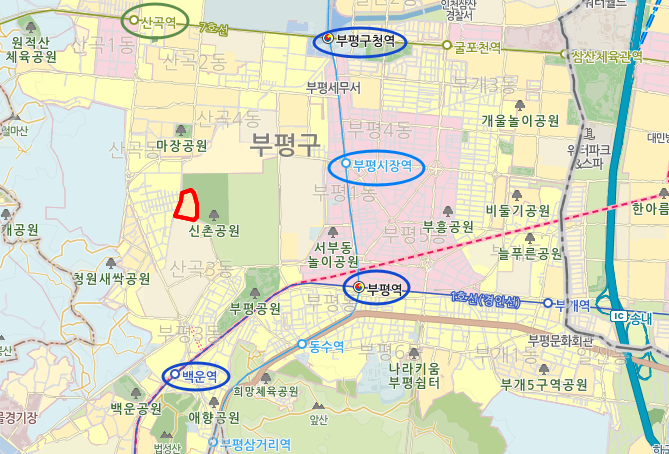 세실음악교습소 이미지