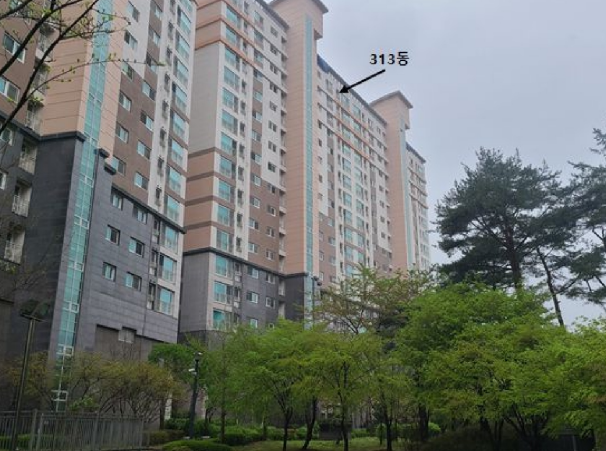 Daum카페