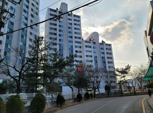 오남제일의원 이미지