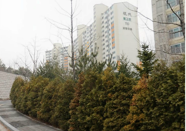 가정이편한가정의학과 이미지