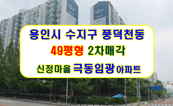 신정 사진 4