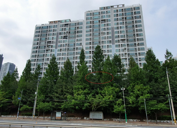 보스톤드림치과의원 이미지