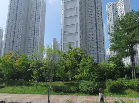 장안속내과 이미지
