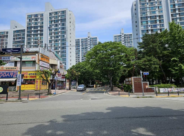 까치 대표 사진