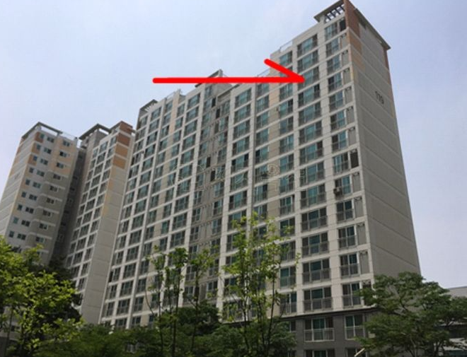 세븐일레븐 안성공도읍점 이미지