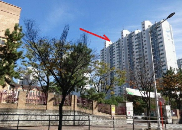 버들151 이미지