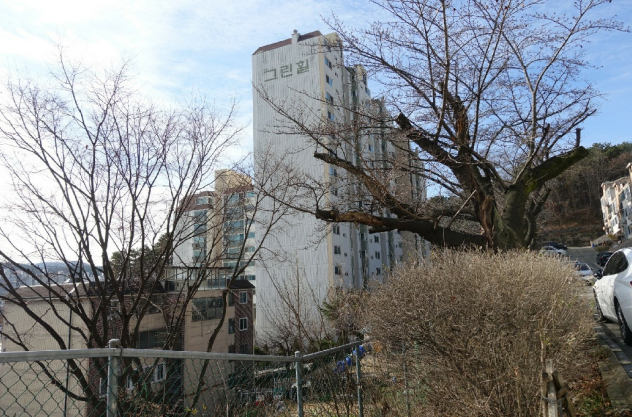 선한정형외과의원 이미지