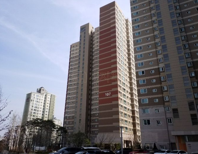 태전드림정형외과의원 이미지