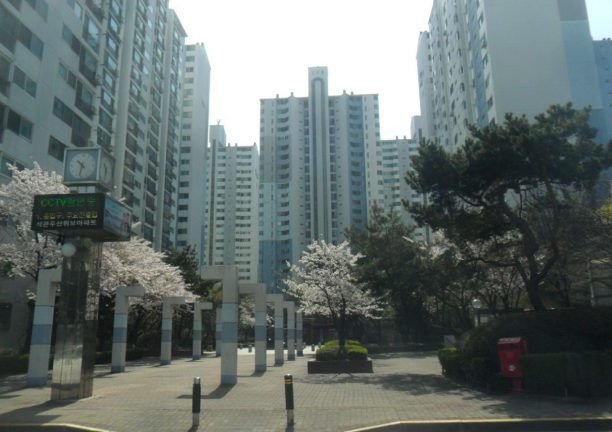 연세다솜치과의원 이미지