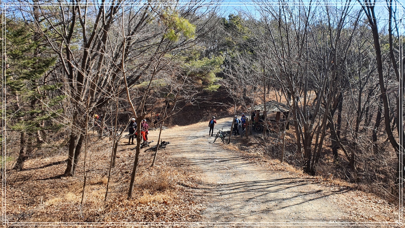달자 이미지
