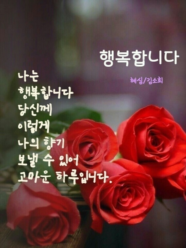 행복한 아침 이미지