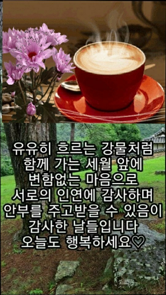 좋은하루 이미지