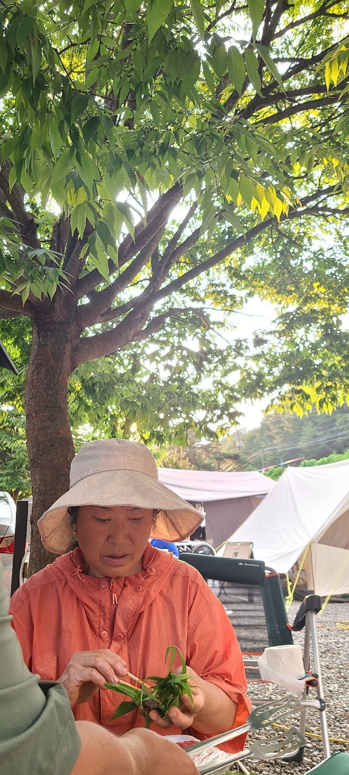 화양숲노리캠핑장 이미지