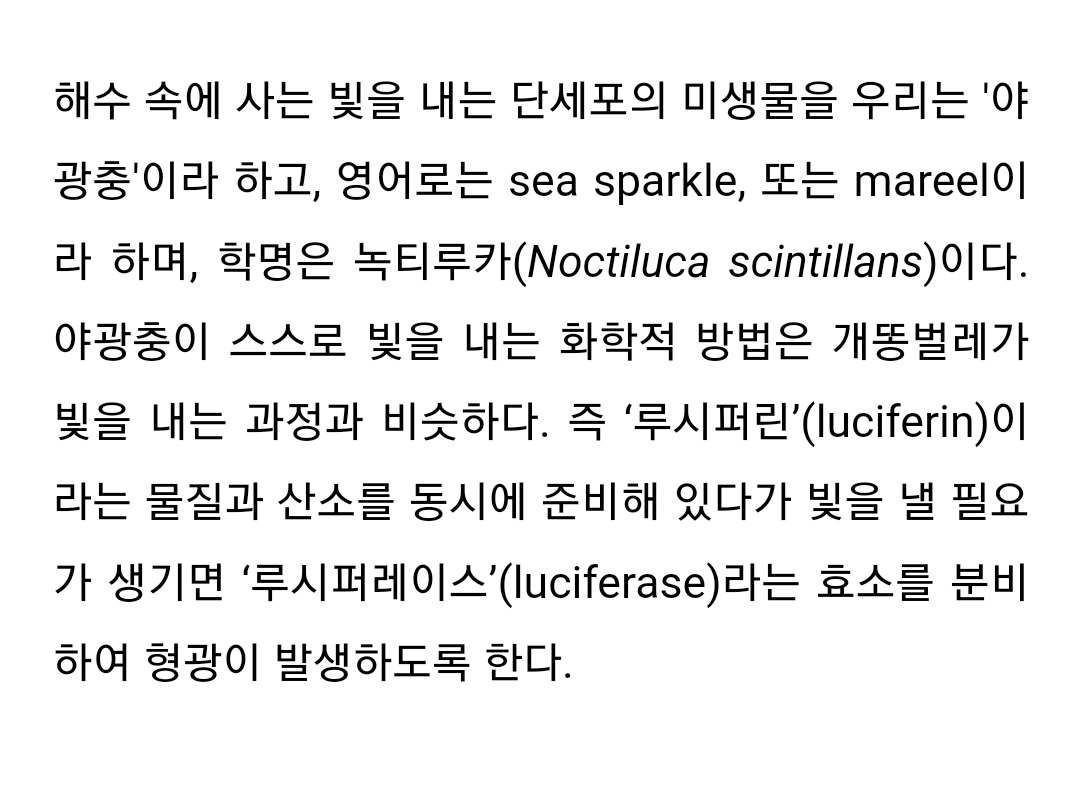 만리포몰디브 이미지