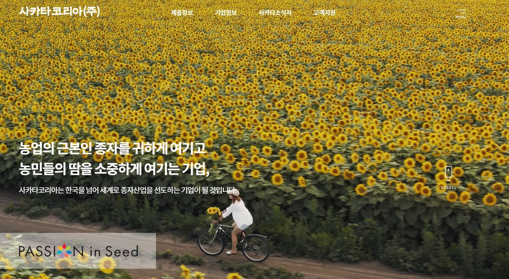 싱싱코리아 이미지