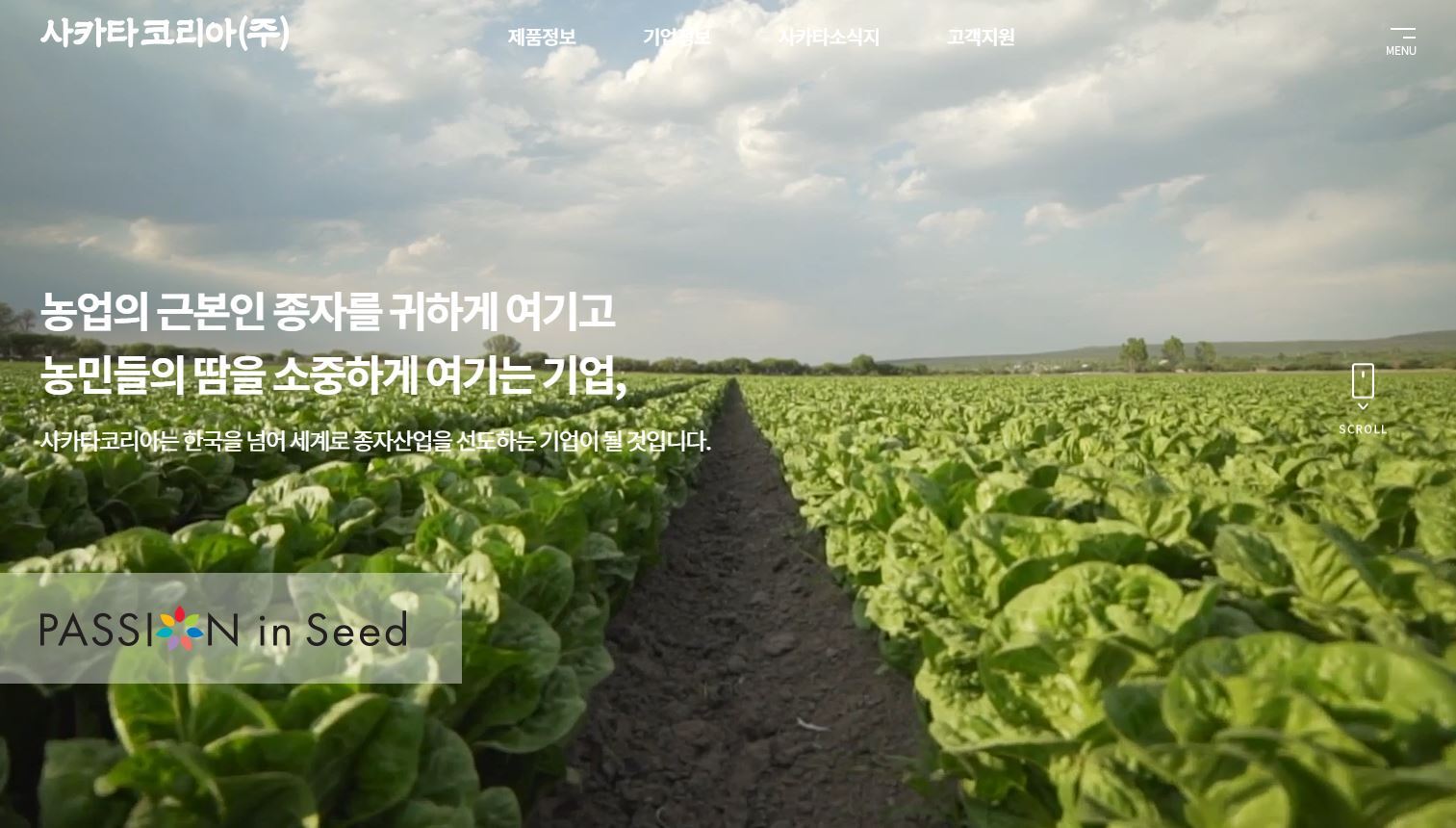 싱싱코리아 이미지
