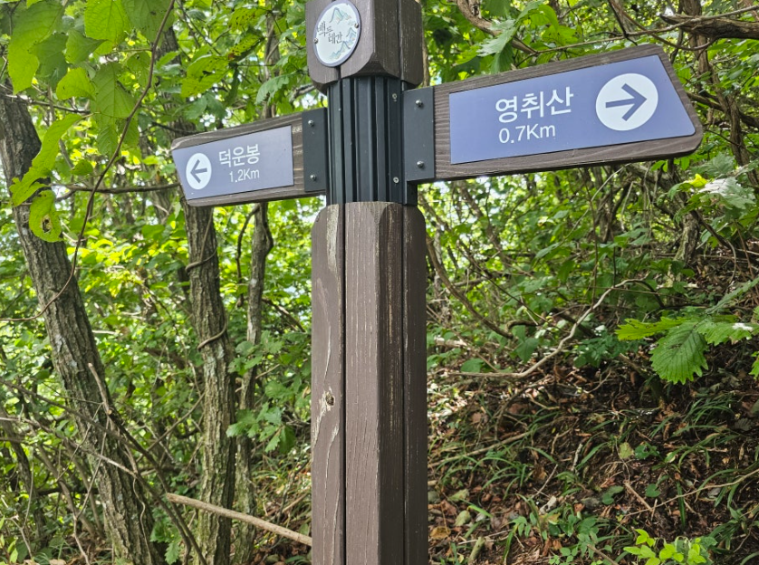 참다인 이미지