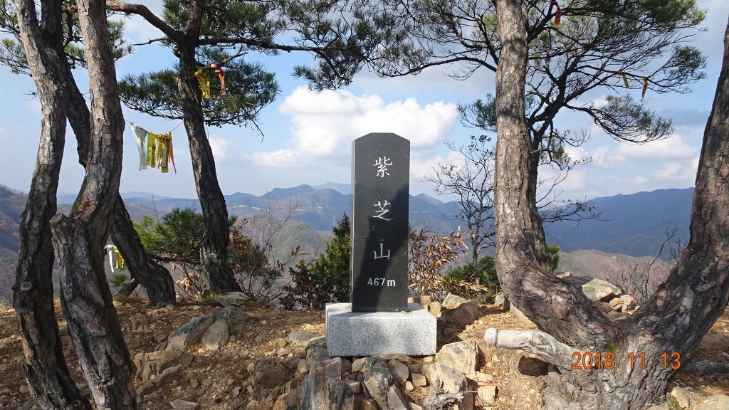금강자연약초 이미지