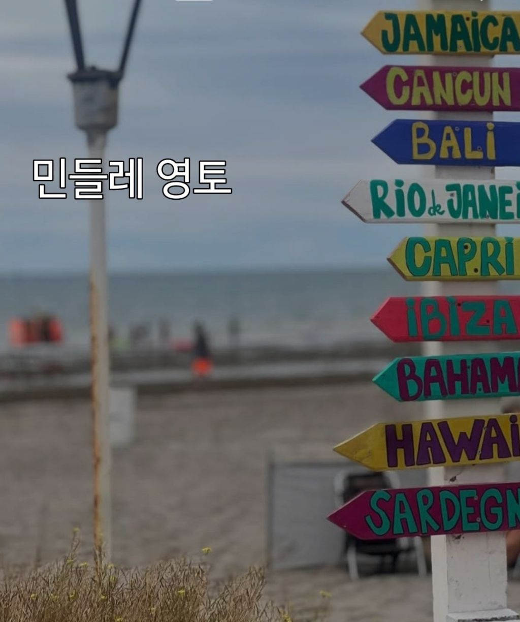 민들레영토 이미지