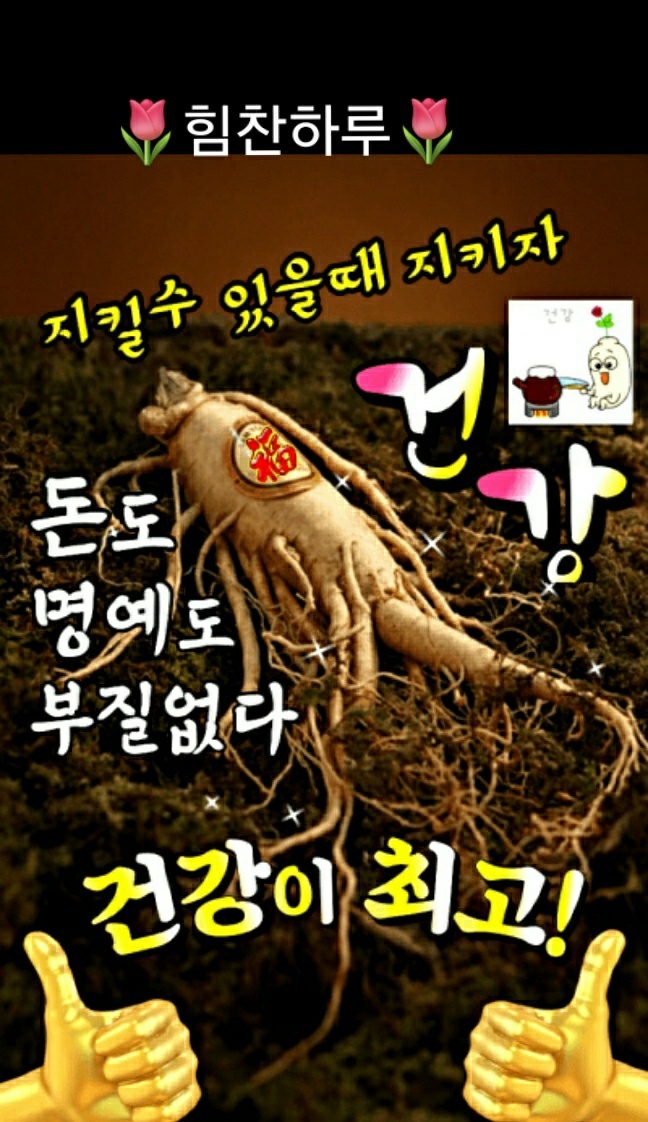 신비코 이미지