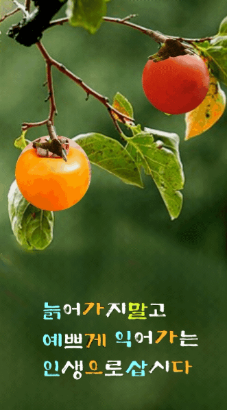 카페 프로필 이미지