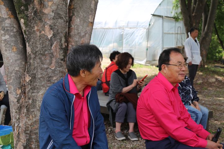 겟세마니동산 이미지