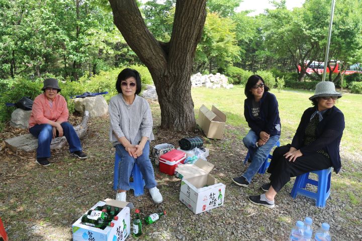 겟세마니동산 이미지