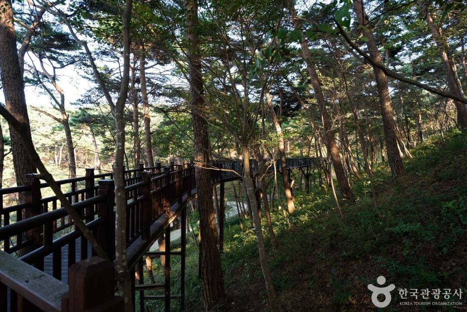 (주)여행자클럽 이미지