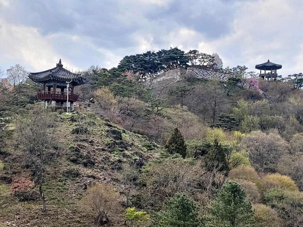 (주)여행클럽 이미지