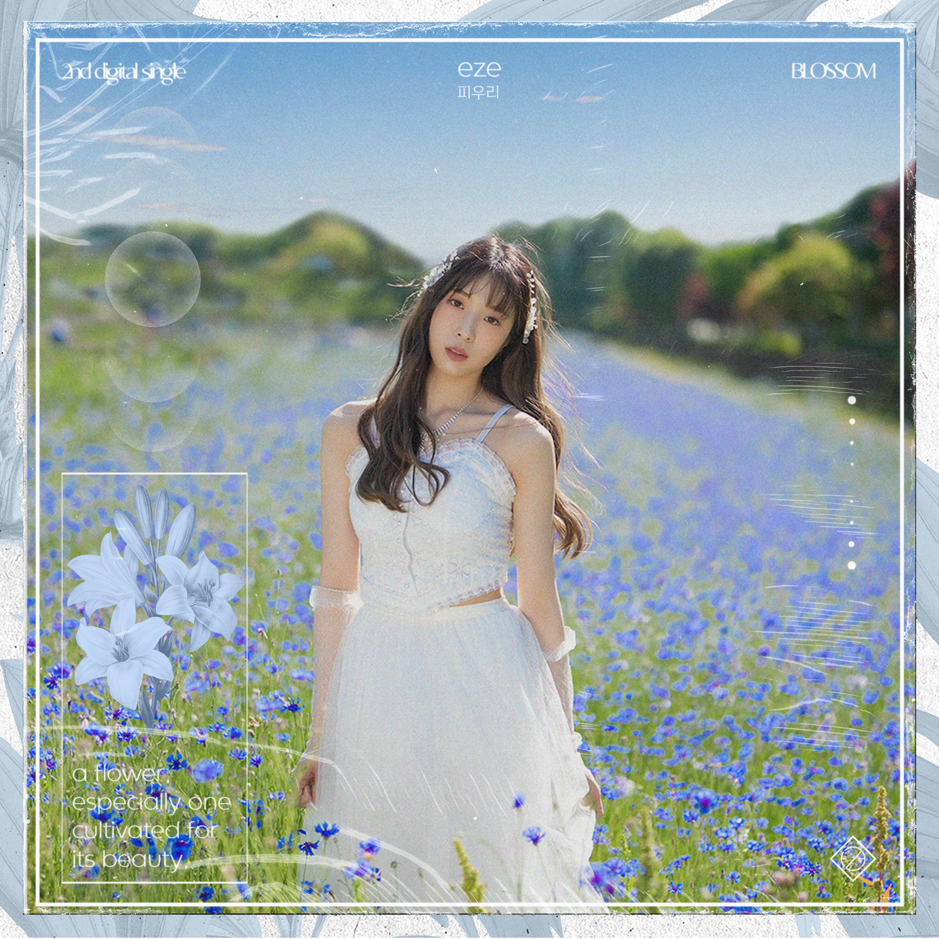 피우리 이미지