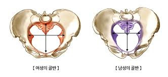 일억 이미지
