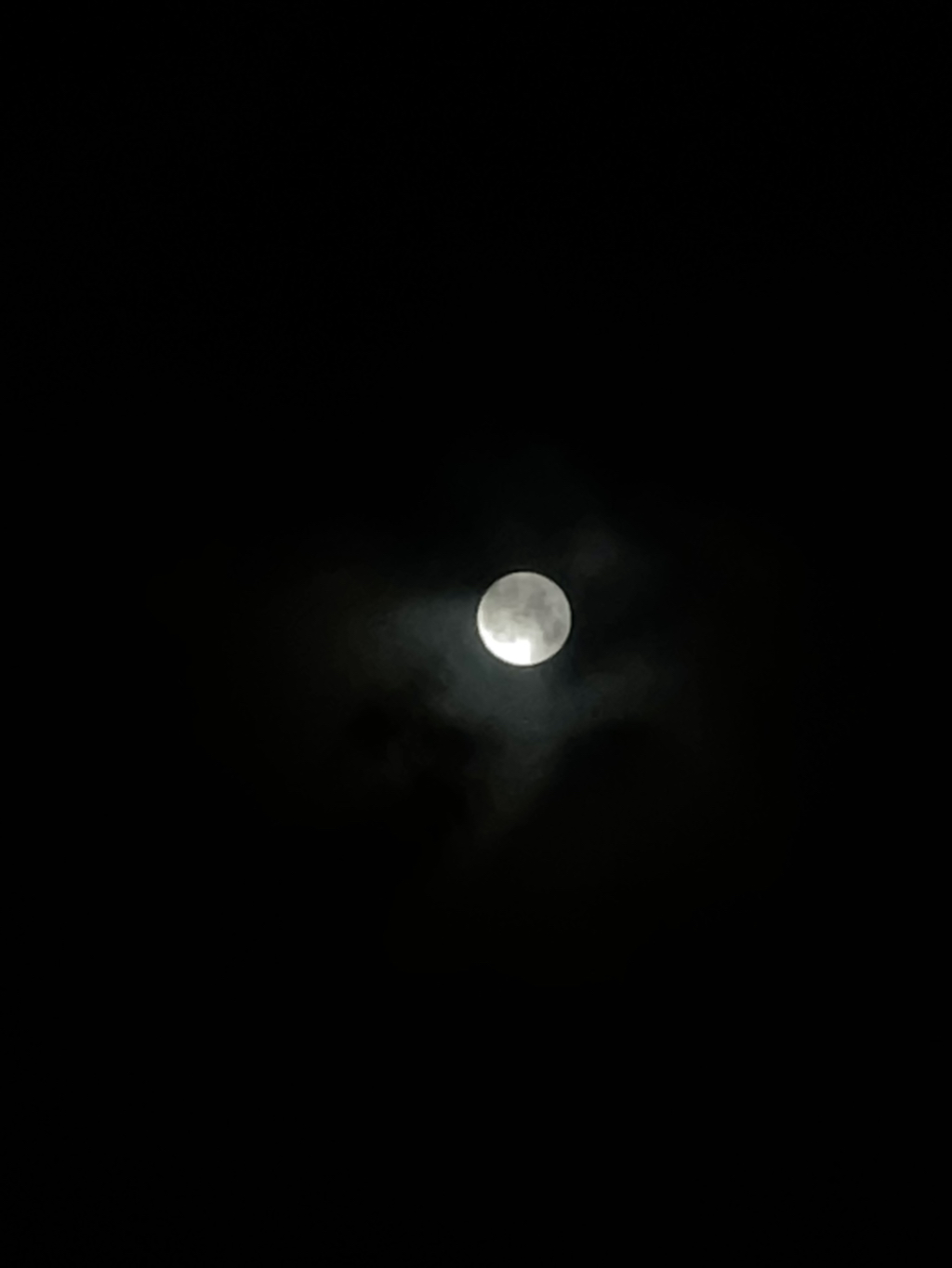 61 이미지
