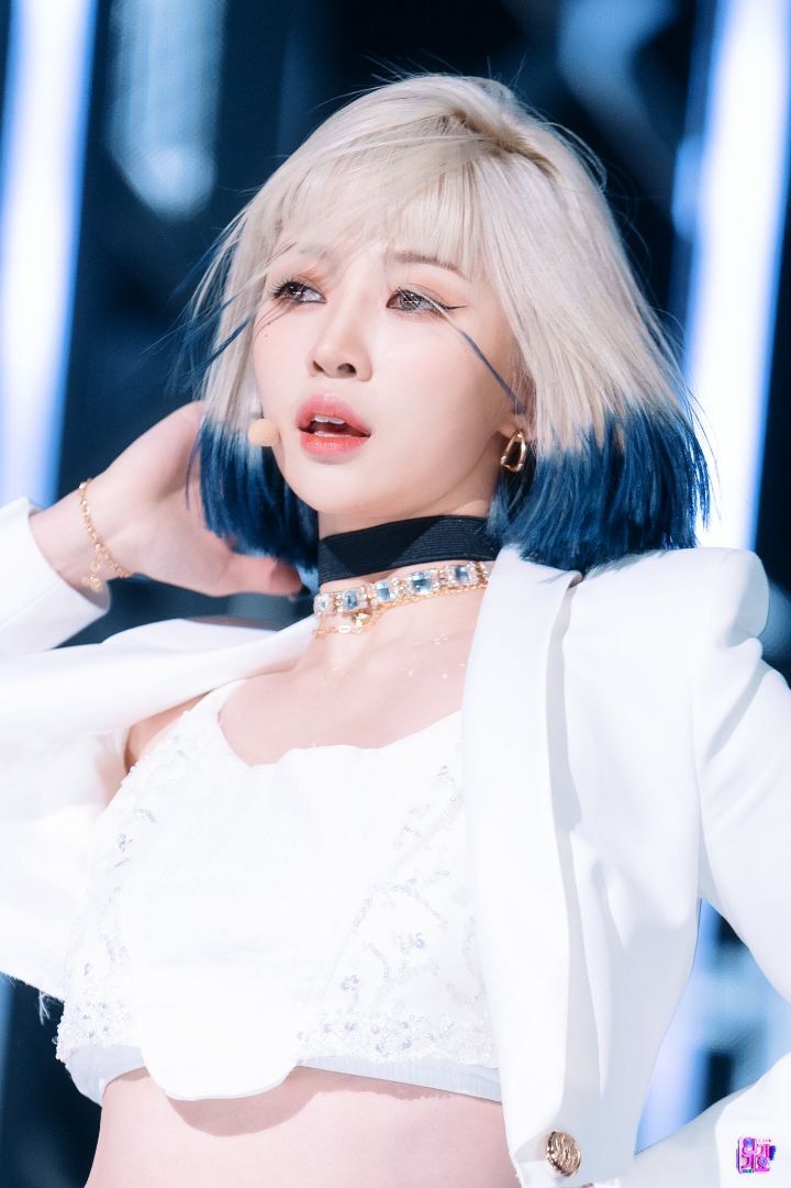 하이하이 이미지