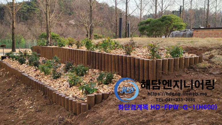 자연목 이미지