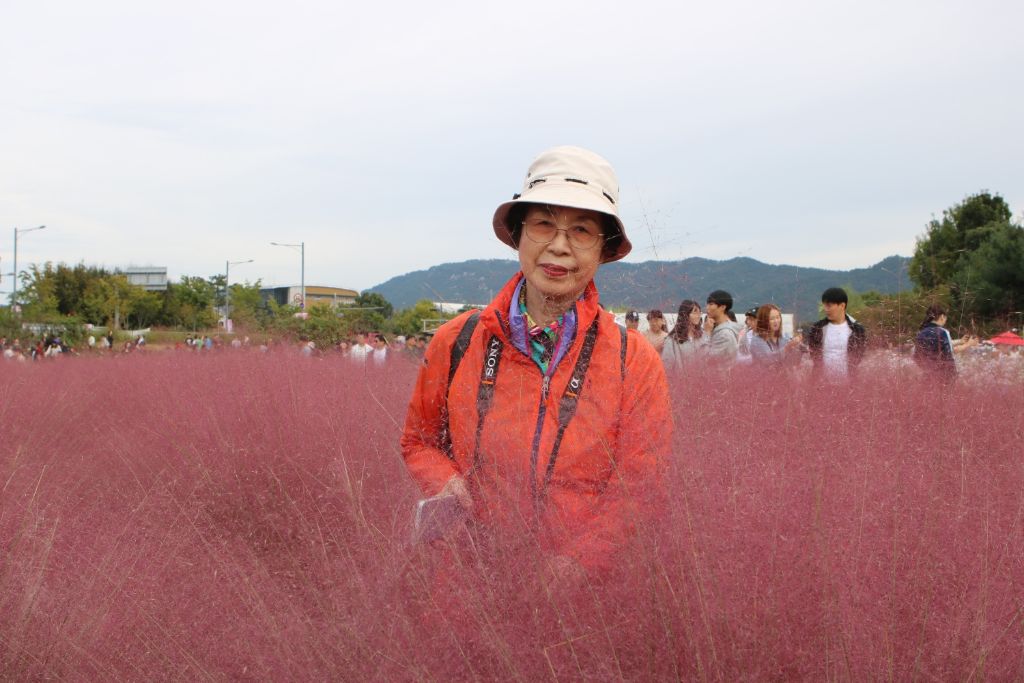 꽃나리 이미지