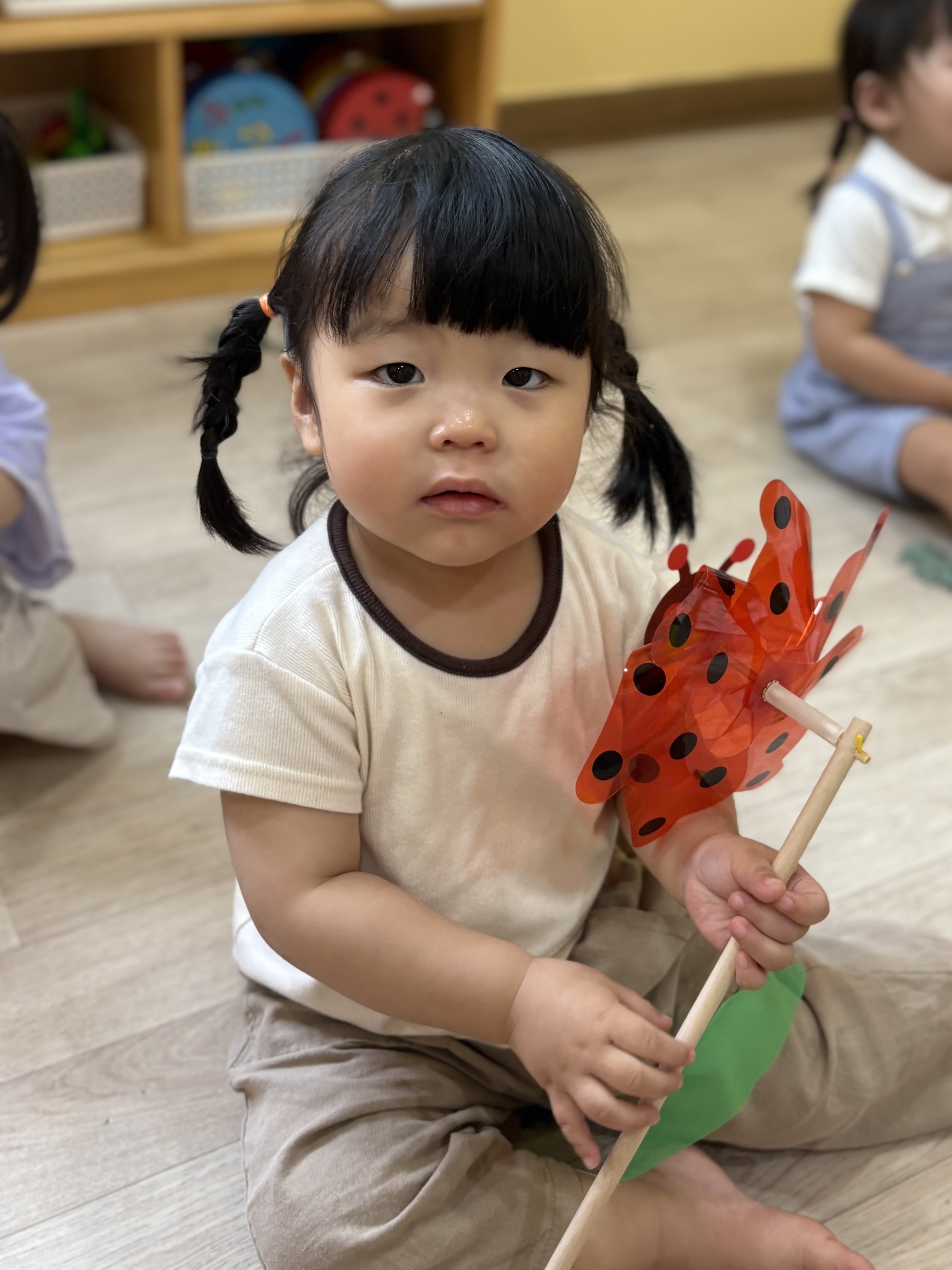 포르르 이미지