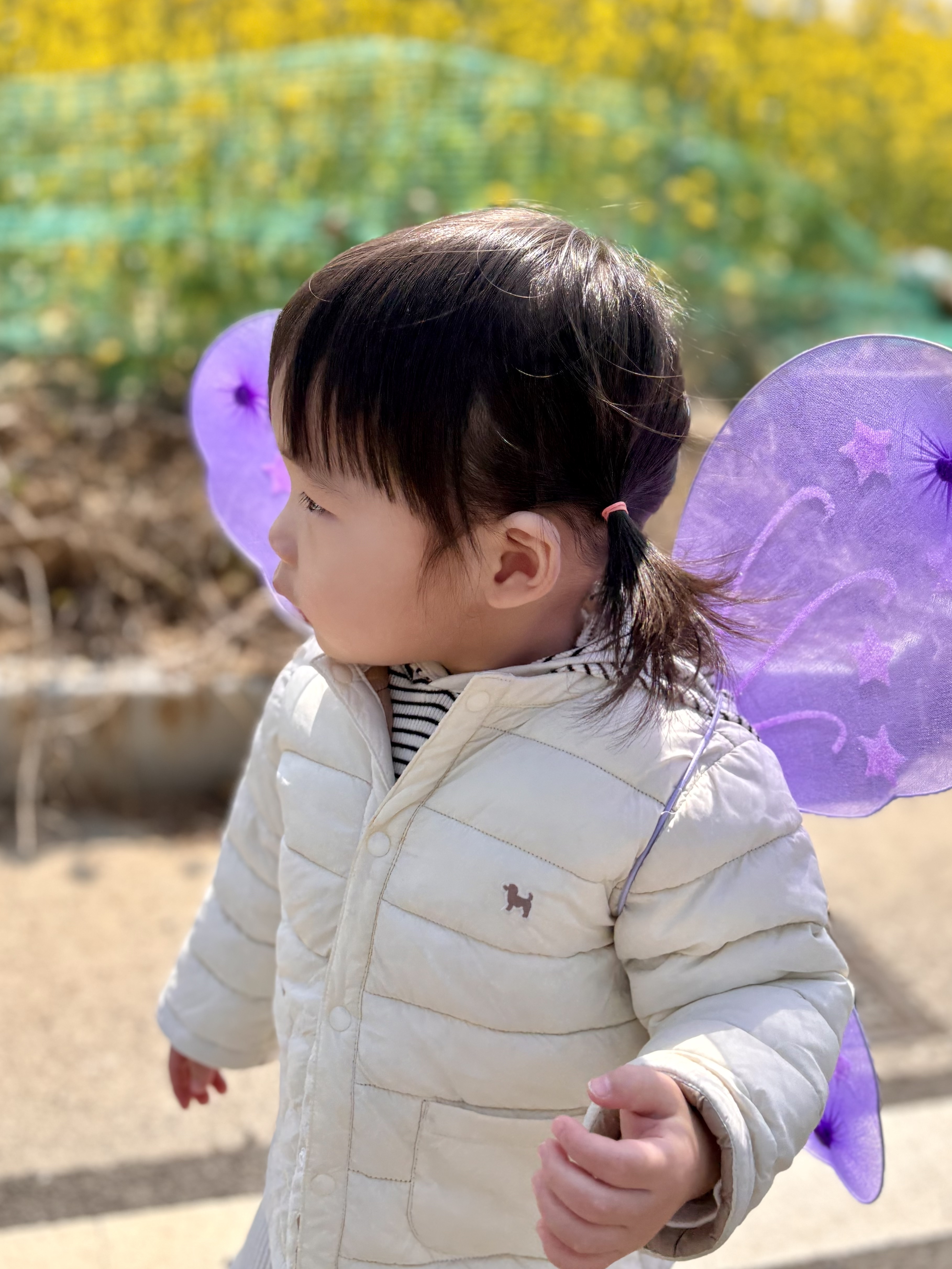 나폴나폴 이미지