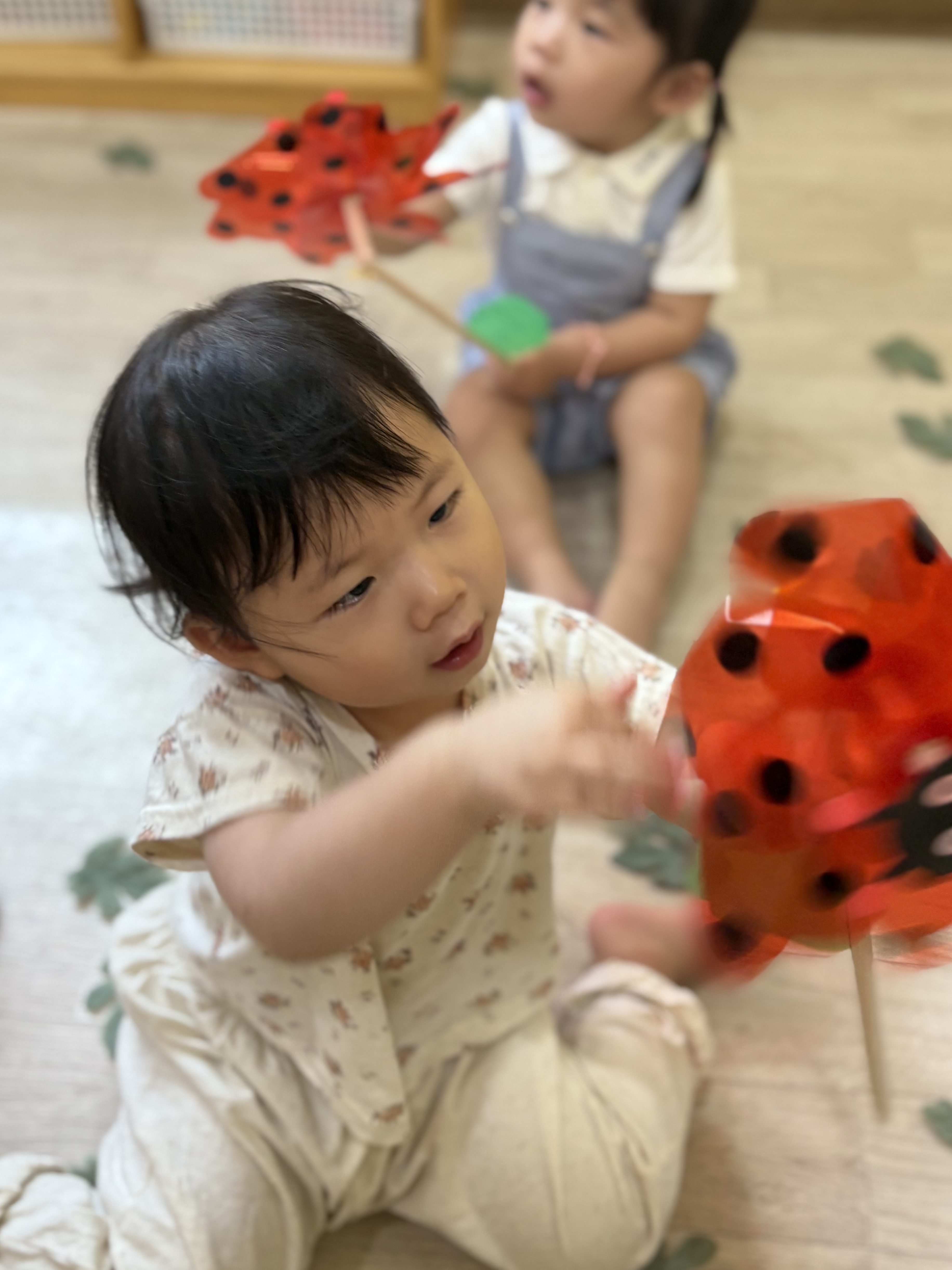 포르르 이미지