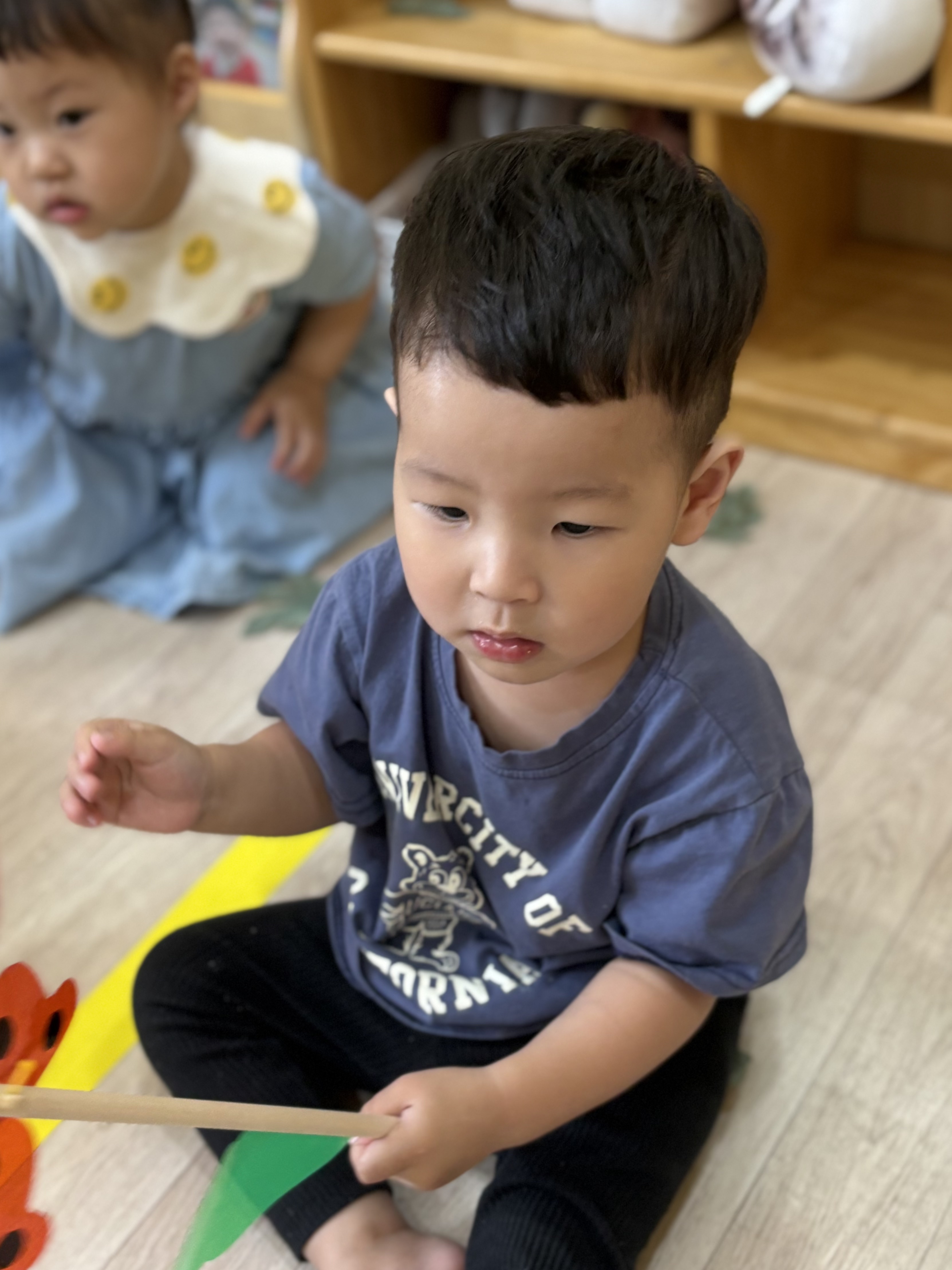 포르르 이미지