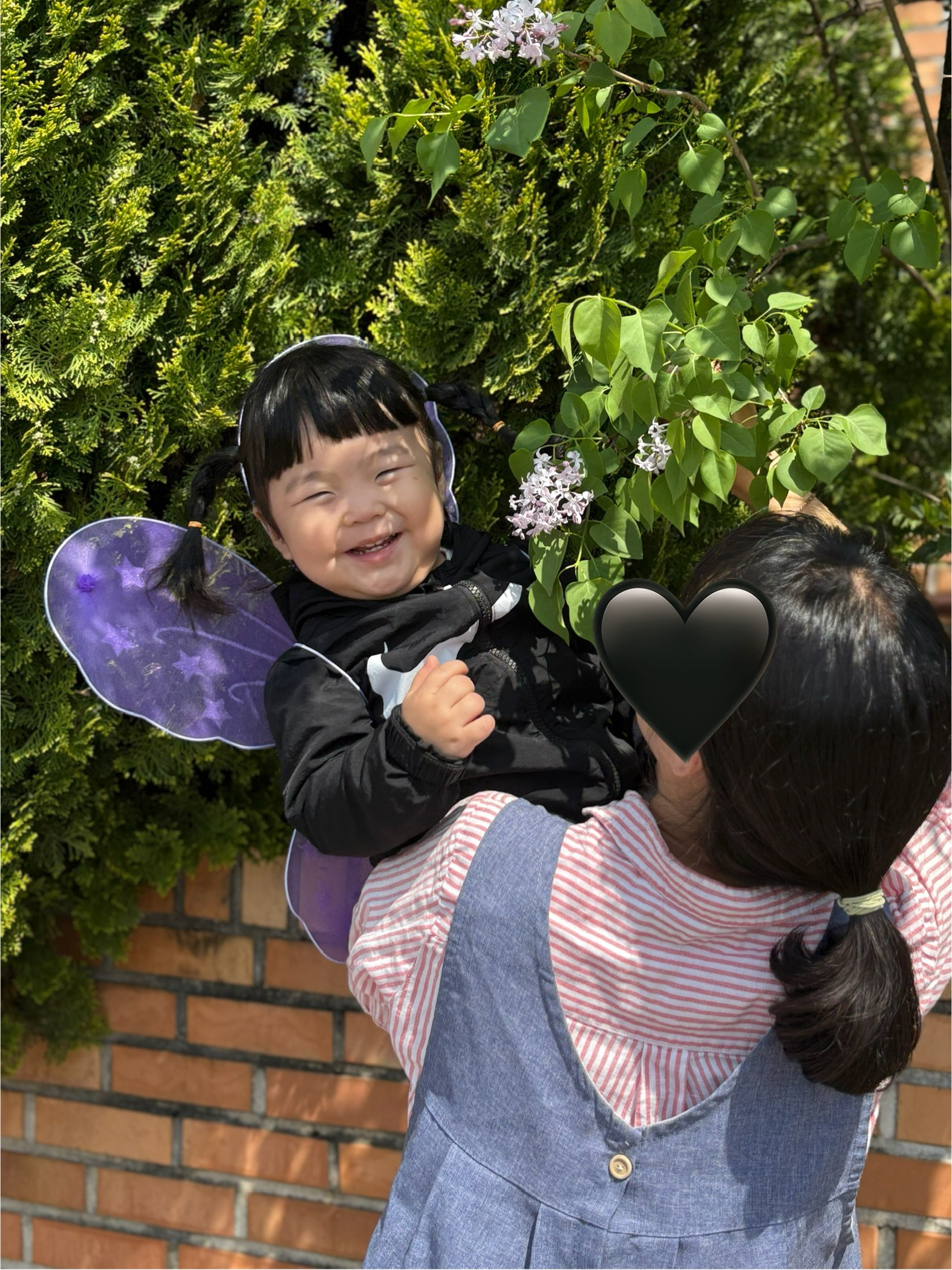 나폴나폴 이미지